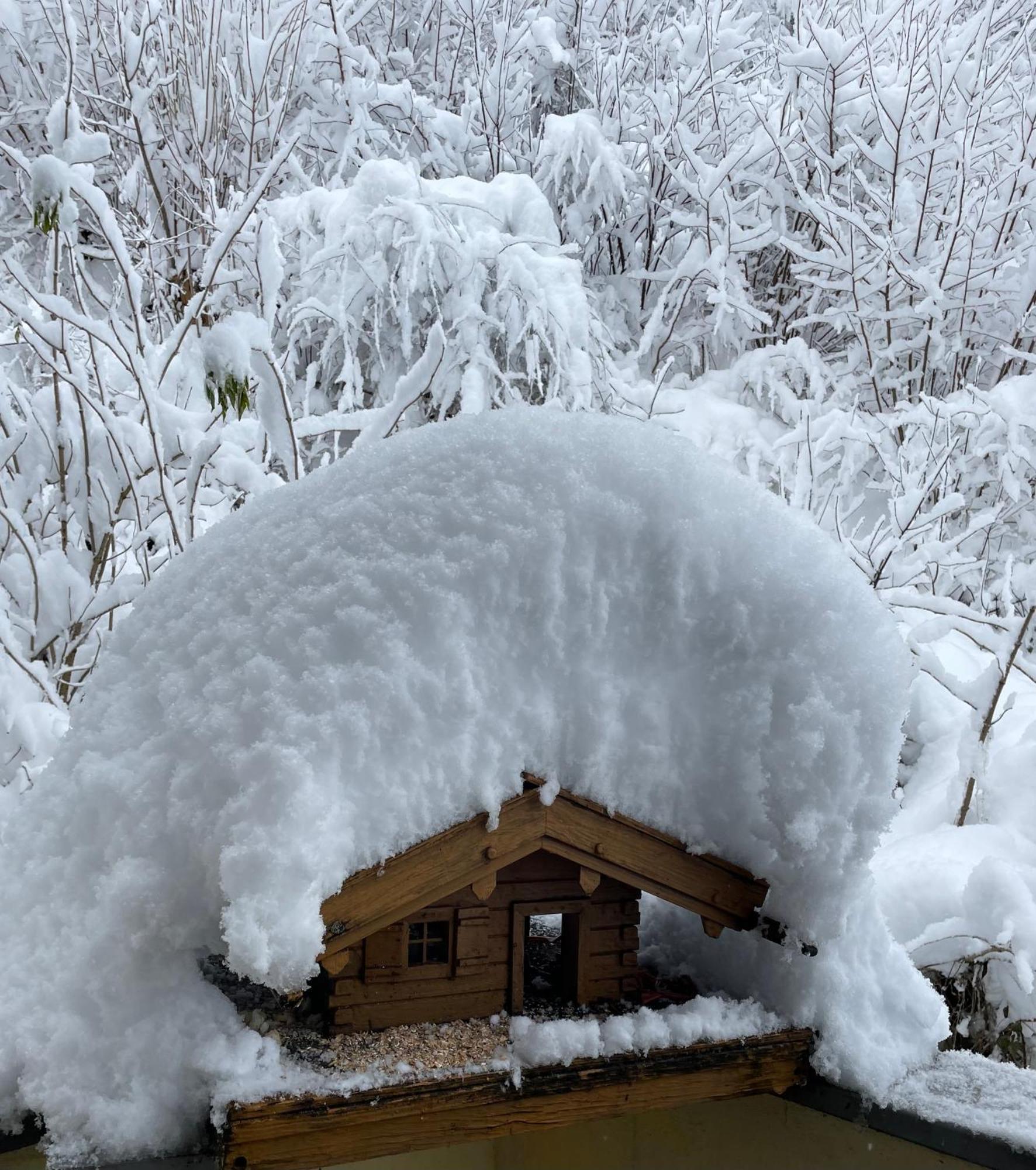 Ferienwohnung Mondial Neustift im Stubaital Exterior foto
