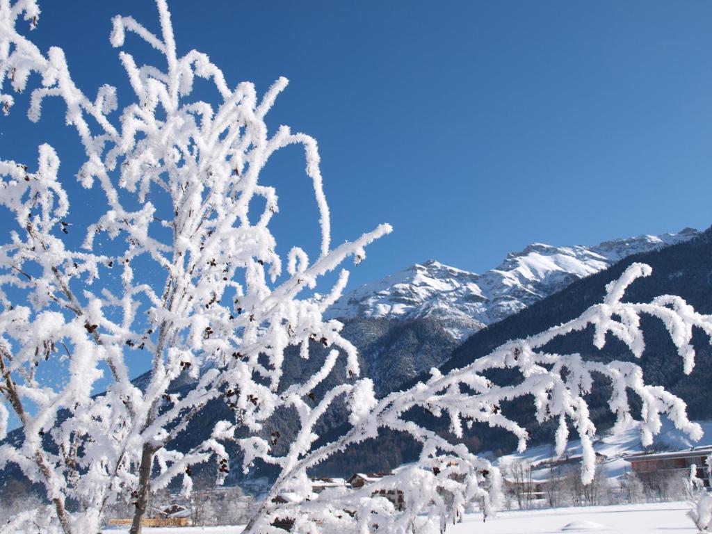 Ferienwohnung Mondial Neustift im Stubaital Exterior foto